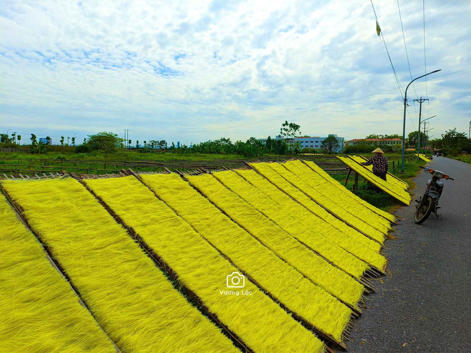 Hình ảnh phên tre với những sợi bún được hong khô dưới ánh nắng