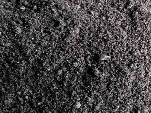 Một góc cảnh quan của khu vực rừng tràm U Minh, nơi có trữ lượng than bùn lớn
