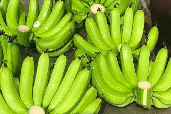 Nguyên liệu làm mắm tôm và bún đậu tươi ngon