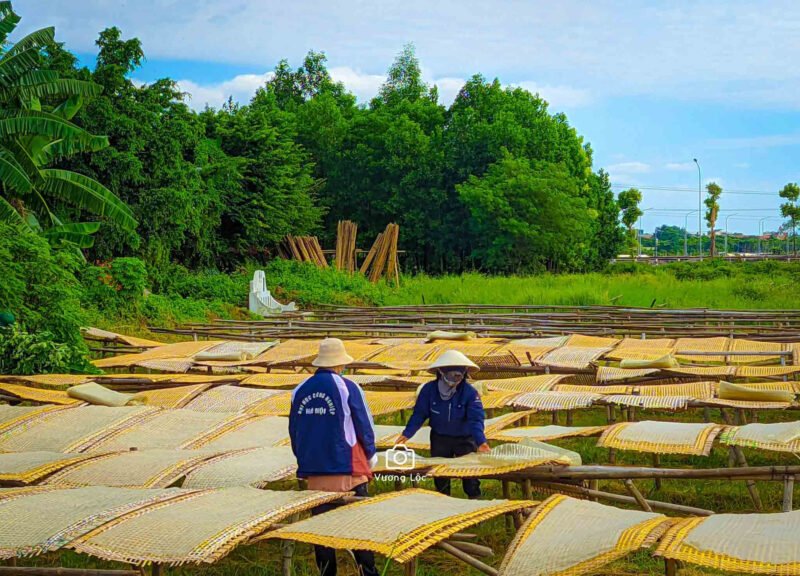 Quy trình phơi bún khô dưới ánh nắng mặt trời tại làng nghề