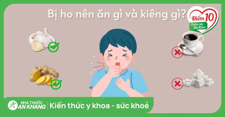 Ăn Gì Để Giảm Ho? Top 15 Thực Phẩm Và Bài Thuốc Dân Gian Hiệu Quả Ăn Gì Để Giảm Ho? Top 15 Thực Phẩm Và Bài Thuốc Dân Gian Hiệu Quả