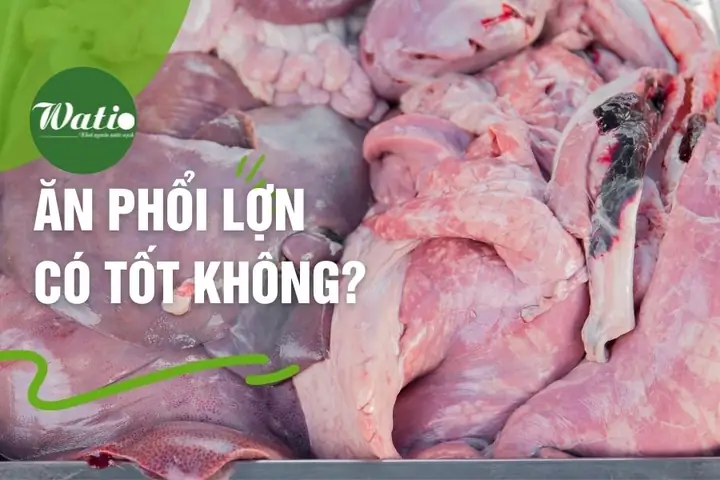 Ăn Phổi Lợn Có Tác Dụng Gì? Lợi Ích Và Những Điều Cần Lưu Ý