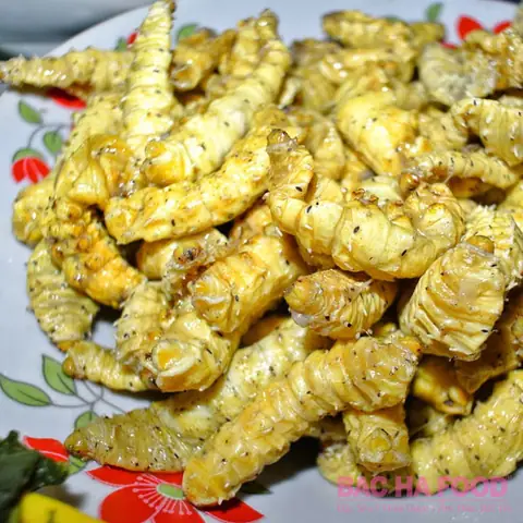 Ăn Tằm Lá Sắn Có Tốt Không? Lợi Ích, Tác Hại Và Cách Dùng An Toàn Ăn Tằm Lá Sắn Có Tốt Không? Lợi Ích, Tác Hại Và Cách Dùng An Toàn