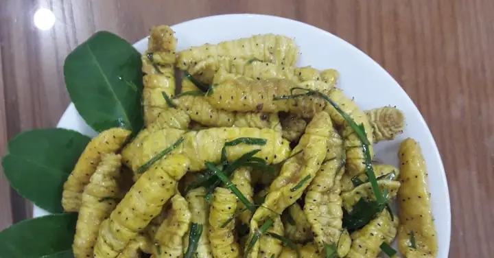 Ăn Tằm Lá Sắn Có Tốt Không? Lợi Ích, Tác Hại Và Cách Dùng An Toàn Ăn Tằm Lá Sắn Có Tốt Không? Lợi Ích, Tác Hại Và Cách Dùng An Toàn