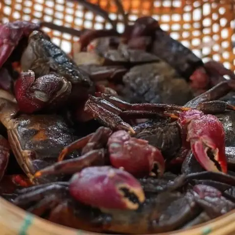 Bà Bầu Ăn Bà Khía Muối Được Không?