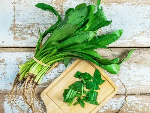 Bà Bầu Có Ăn Được Rau Ngò Gai Không? Giải Đáp Chi Tiết Và Lưu Ý Khi Dùng