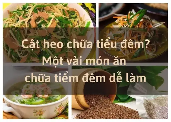 Bài Thuốc Từ Cật Heo: Công Dụng, Cách Nấu, Ai Nên Dùng?