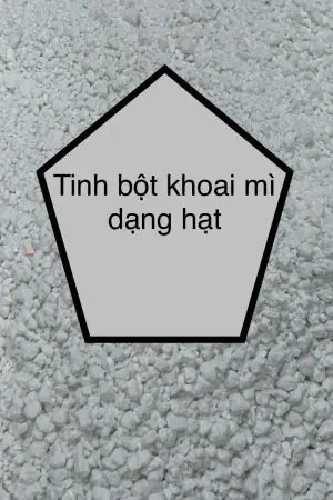 Bánh Bột Chiến Xuan Hồng: Khám Phá Vị Ngon Đậm Đà Từ Hương Vị Truyền Thống