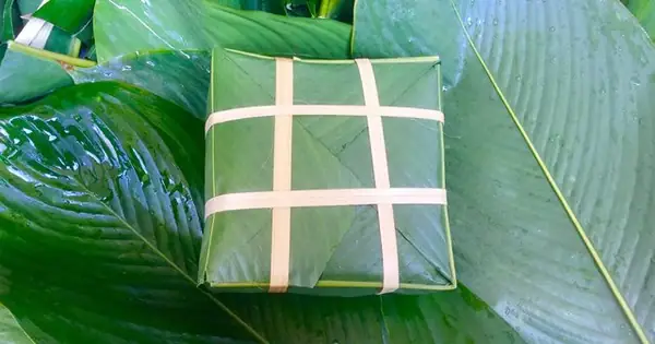 Bánh Chưng Gói Bằng Lá Gì? Khám Phá Ý Nghĩa Và Các Loại Lá Gói Truyền Thống