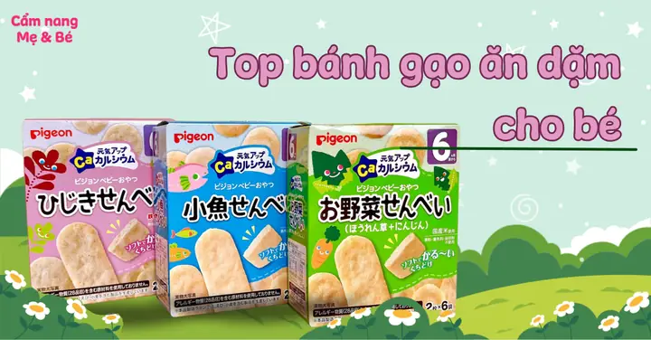 Top 10 Bánh Gạo Ăn Dặm Cho Bé Tốt Nhất, An Toàn Và Bổ Dưỡng Hiện Nay