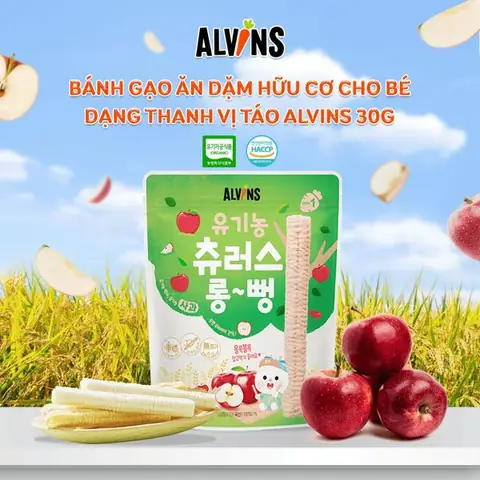 Top 10 Bánh Gạo Ăn Dặm Cho Bé Tốt Nhất, An Toàn Và Bổ Dưỡng Hiện Nay