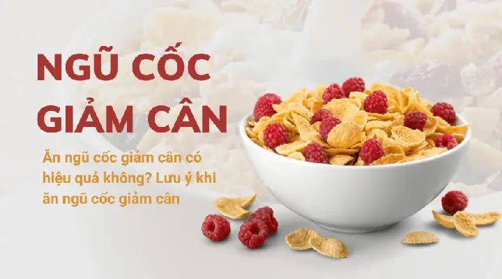 Đánh Giá Chi Tiết: Bánh Ngũ Cốc Giảm Cân Có Thực Sự Hiệu Quả? Top 5 Loại Tốt Nhất Hiện Nay