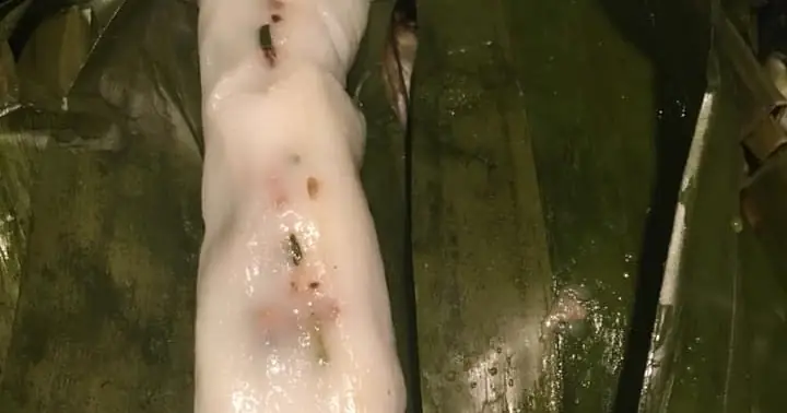So Sánh Bánh Tẻ Và Bánh Giò: Phân Biệt Hai Món Ngon Đặc Sản Miền Bắc