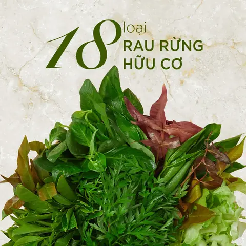 Khám Phá Bánh Tráng Cuốn Tây Ninh: Vị Cay Nồng Đặc Trưng Và Cách Thưởng Thức Chuẩn Vị