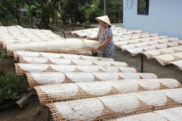 Bánh Tráng Làm Từ Gì? Giải Đáp Chi Tiết Nguyên Liệu Và Quy Trình制作