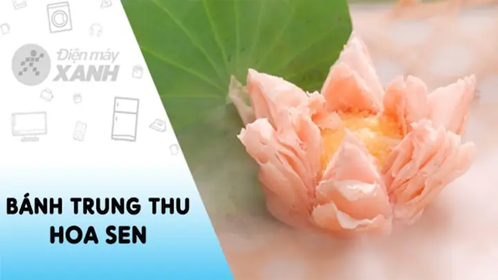 Top 7 Loại Bánh Trung Thu Hoa Sen Ngon, Ý Nghĩa Nhất Hiện Nay