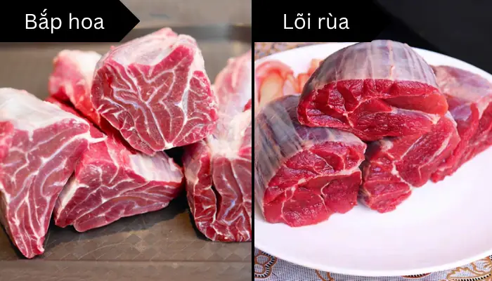 Khám Phá Ý Nghĩa Và Ứng Dụng Của Bắp Hoa Và Lõi Rùa Trong Đời Sống