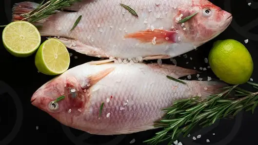 Bà Bầu Ăn Cá Diêu Hồng Được Không?