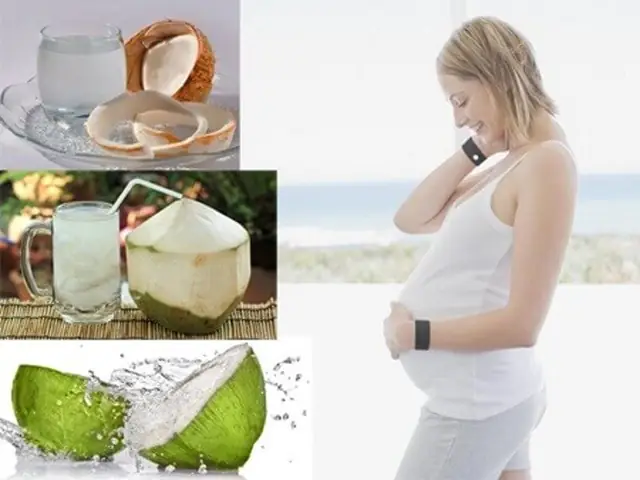 Bà Bầu Ăn Củ Hủ Dừa Được Không? Giải Đáp Chi Tiết Và Lưu Ý Quan Trọng