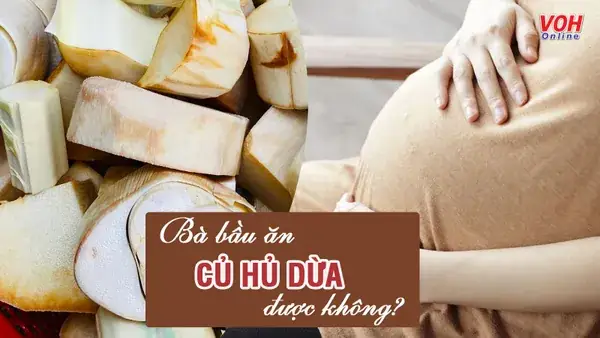 Bà Bầu Ăn Củ Hủ Dừa Được Không? Giải Đáp Chi Tiết Và Lưu Ý Quan Trọng