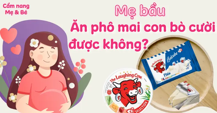 Bà Bầu Ăn Phô Mai Con Bò Cười Được Không? Bà Bầu Ăn Phô Mai Con Bò Cười Được Không?