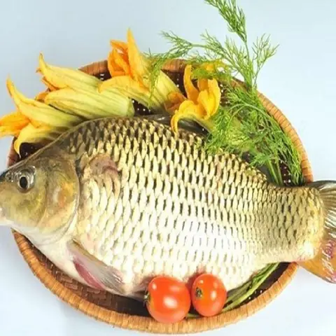 Bé 7 Tháng Ăn Được Cá Gì? Gợi Ý 6 Loại Cá Tốt Cho Bé Tập Ăn Dặm
