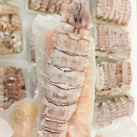 Top 7 Địa Chỉ Bề Bề Bóc Nõn Hà Nội Ngon, Chất Lượng Nhất Top 7 Địa Chỉ Bề Bề Bóc Nõn Hà Nội Ngon, Chất Lượng Nhất