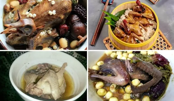 Bồ Câu Hầm Cách Thủy: Công Thức Nấu Ăn Bổ Dưỡng Cho Gia Đình Bồ Câu Hầm Cách Thủy: Công Thức Nấu Ăn Bổ Dưỡng Cho Gia Đình