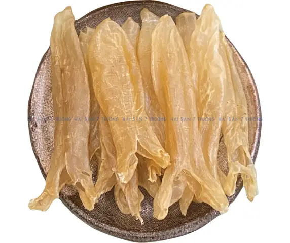 Bong Bóng Cá Là Gì? Nguồn Gốc, Công Dụng Và Những Điều Bạn Chưa Biết