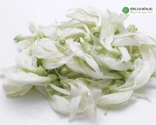 Bông So Đũa Có Tác Dụng Gì? Công Dụng, Cách Dùng Và Lưu Ý Quan Trọng