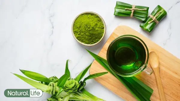 Bột Lá Nếp Dùng Để Làm Gì? Công Dụng Và Ứng Dụng Phổ Biến Trong Đời Sống Bột Lá Nếp Dùng Để Làm Gì? Công Dụng Và Ứng Dụng Phổ Biến Trong Đời Sống