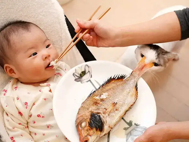 Cá Bã Trầu Nấu Cháo Cho Bé: Công Thức Bổ Dưỡng Và Những Lưu Ý Quan Trọng