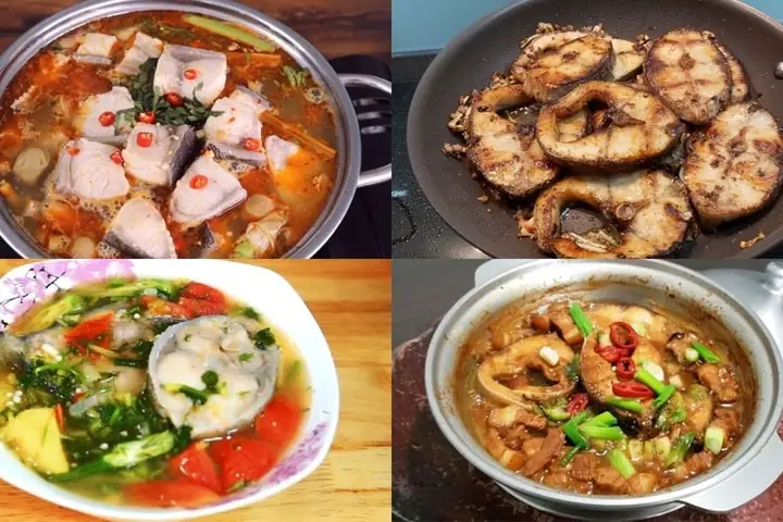 Cá Bớp Là Cá Gì? Giải Đáp Chi Tiết Từ A-z Về Loài Cá "đặc Biệt" Này