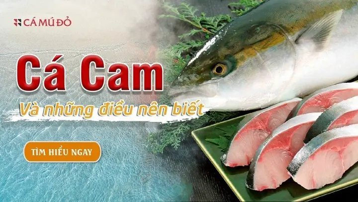 Cà Cẩm Lai Cà Gai: Sự Thật Về Loại Thân Cây Gai Góp Hỗ Trợ Sức Khỏe