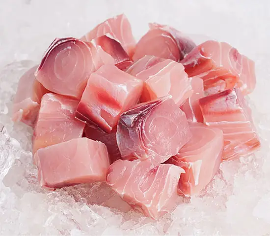 Cá Cờ Là Cá Gì? Nguồn Gốc, Đặc Điểm Và Cách Chế Biến Cá Cờ Là Cá Gì? Nguồn Gốc, Đặc Điểm Và Cách Chế Biến