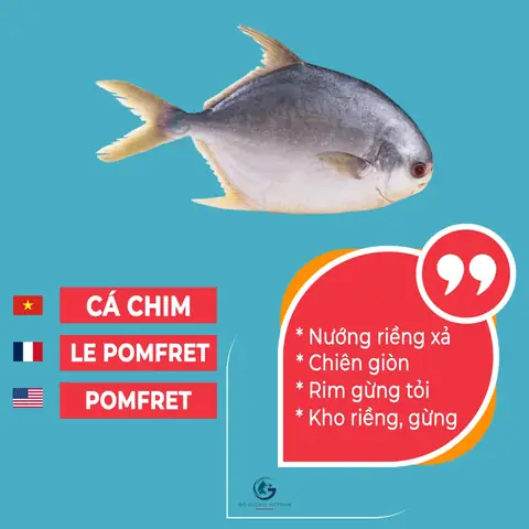 Cá Cơm Tiếng Anh Là Gì? Giải Mã Tên Gọi Và Những Điều Bạn Chưa Biết