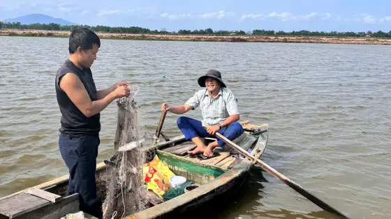 Bảng Giá Cá Đối Biển Mới Nhất: Đánh Giá Chi Tiết Các Loại Phổ Biến