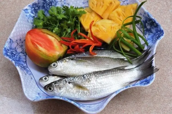 Cá Đối Là Cá Gì? Tìm Hiểu Chi Tiết Về Loài Cá Đặc Biệt Này