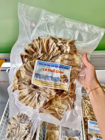 Cá Ghim Và Cá Đuối: So Sánh Sâu Sắc Về Đặc Điểm, Nguồn Gốc Và Lợi Ích