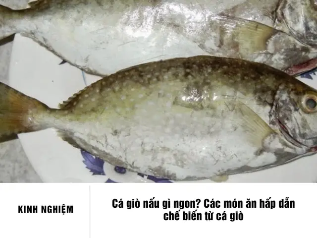 Cá Gì Nấu Gì Ngon? 20+ Món Ngon Dễ Làm Từ Cá Cho Bữa Cơm Gia Đình