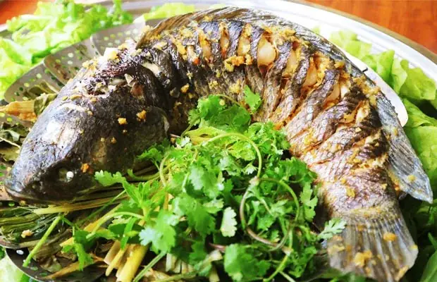 Cá Hấp Bia Bao Nhiêu Phút Thì Thơm Ngon, Chín Mềm? Cá Hấp Bia Bao Nhiêu Phút Thì Thơm Ngon, Chín Mềm?