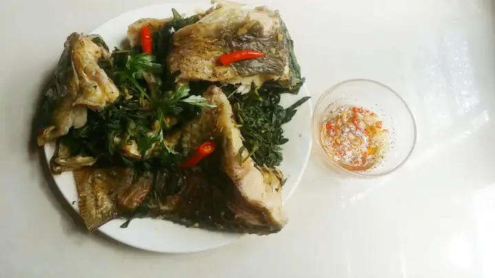 Cá Hấp Sả Ngải Cứu: Công Thức Chi Tiết Và Bí Quyết Để Món Ăn Chuẩn Vị Cá Hấp Sả Ngải Cứu: Công Thức Chi Tiết Và Bí Quyết Để Món Ăn Chuẩn Vị