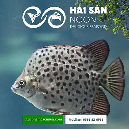 Cá Hói Làm Món Gì Ngon? Khám Phá 10+ Món Ngon Từ Cá Hói Hấp Dẫn Nhất