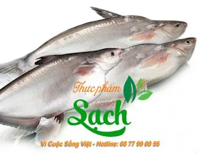 Cá Hú Bao Nhiêu 1kg? Bảng Giá Chi Tiết Và Các Yếu Tố Ảnh Hưởng