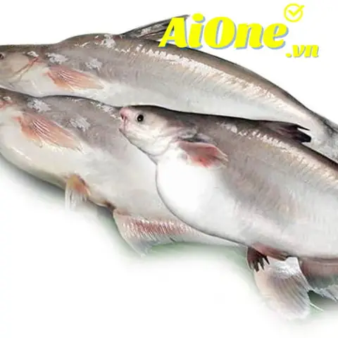 Cá Hú Bao Nhiêu 1kg? Bảng Giá Chi Tiết Và Các Yếu Tố Ảnh Hưởng
