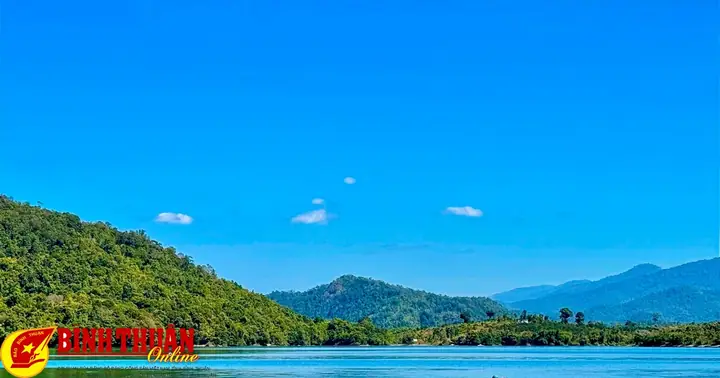 Cá Lìm Kìm Nước Ngọt: Đặc Điểm, Cách Nuôi Và Giá Thành