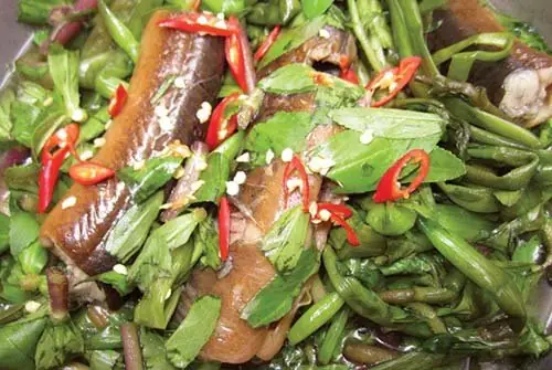 Cá Lóc Um Rau Ngổ: Công Thức Và Kỹ Thuật Chế Biến Chuẩn Vị Miền Tây