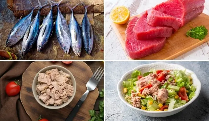 Cá Ngừ Kho Bao Nhiêu Calo? Giải Đáp Chi Tiết Và Phân Tích Dinh Dưỡng