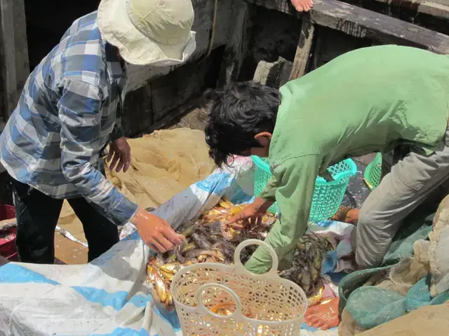 Cá Phèn Có Mấy Loại Và Đặc Điểm Nhận Biết Chi Tiết