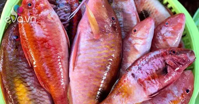 Cá Phèn Có Mấy Loại Và Đặc Điểm Nhận Biết Chi Tiết